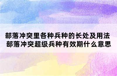 部落冲突里各种兵种的长处及用法 部落冲突超级兵种有效期什么意思